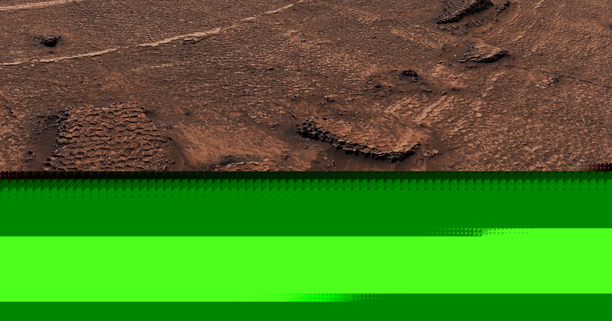NASA Mars rover finds ‘honeycomb’ patterns on red planet