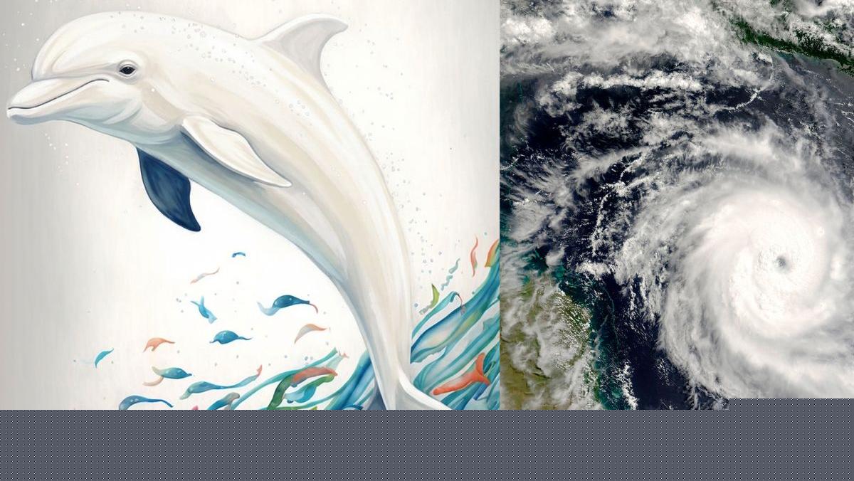 Super Typhoon Dolphin: Why this powerful storm has an unusual name