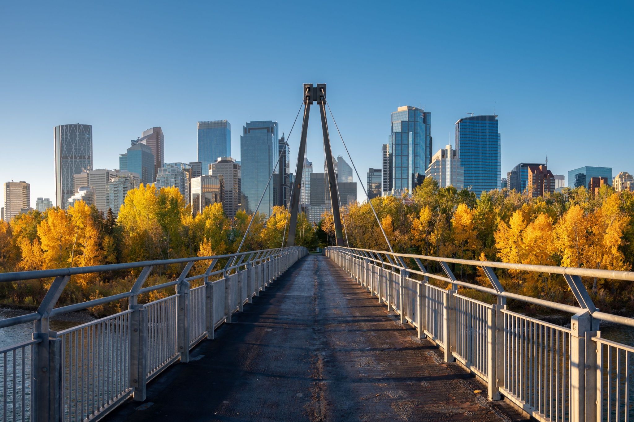Here's what open and closed for Thanksgiving weekend in Calgary