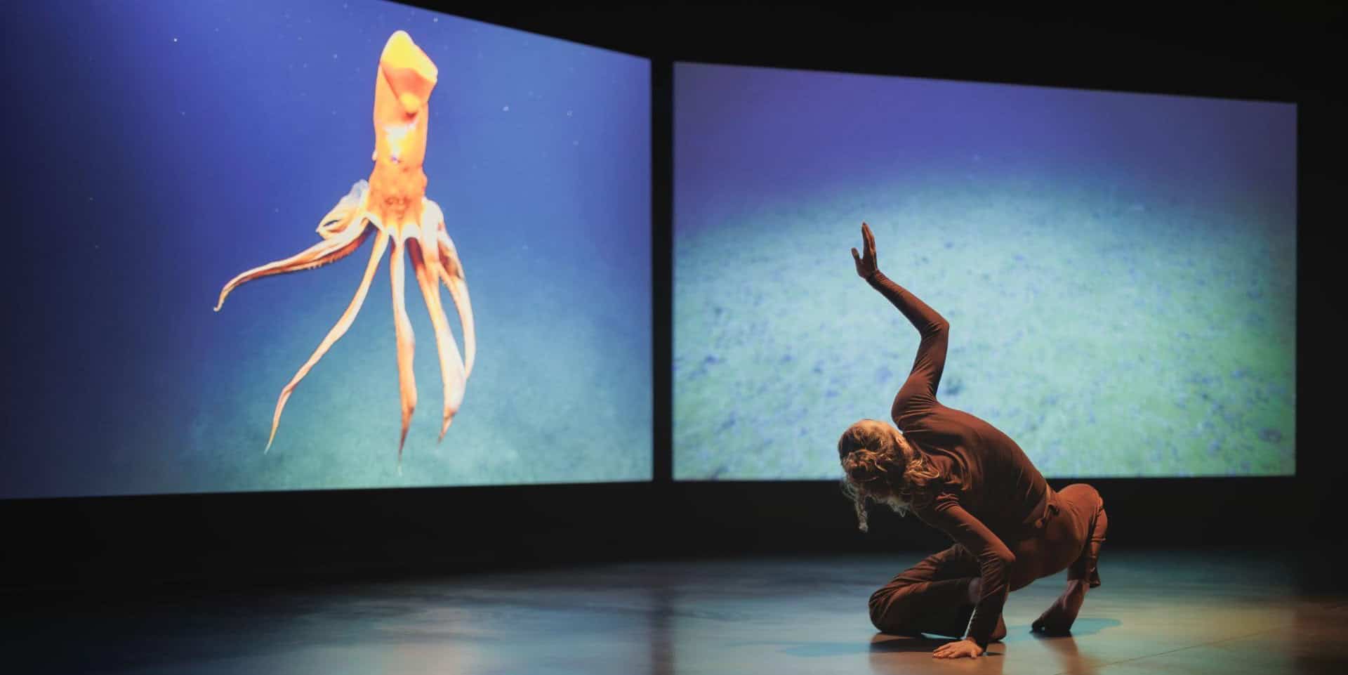 Deep-sea mining and climate regulation highlighted in Soundings exhibition at Quay Arts