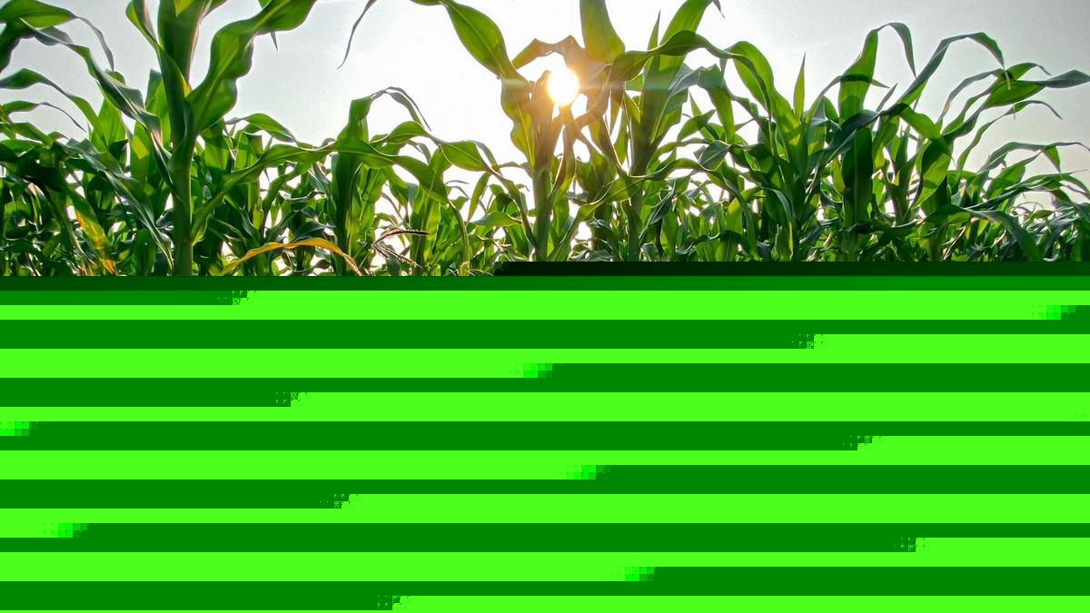 Iowa Adds 18 Hydrostations for Flood and Drought Monitoring