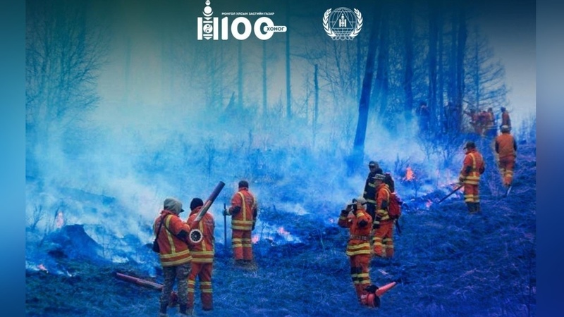 Hundreds of firefighters battle forest fires in northern Mongolia