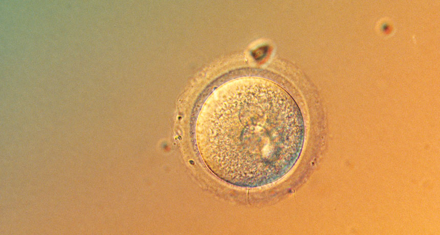 Comment on CRISPR gene editing moved into new territory in 2017 by Startup Secretly Working to Gene-Hack Human Baby - TechMediaGamesBlog@ailinux.me