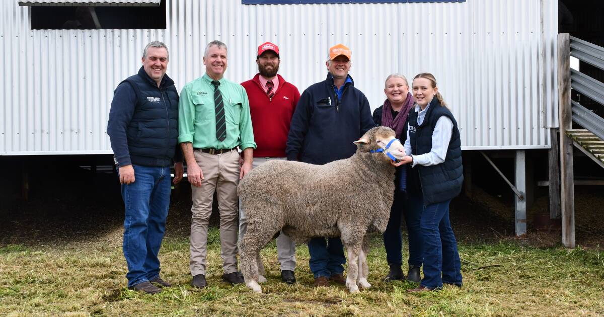 Top Carcuma North Poll Merino ram bound for stud duties near Keith