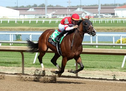 Half Sister to Mitole, Hot Rod Charlie Graduates in Career Debut at Horseshoe Indianapolis