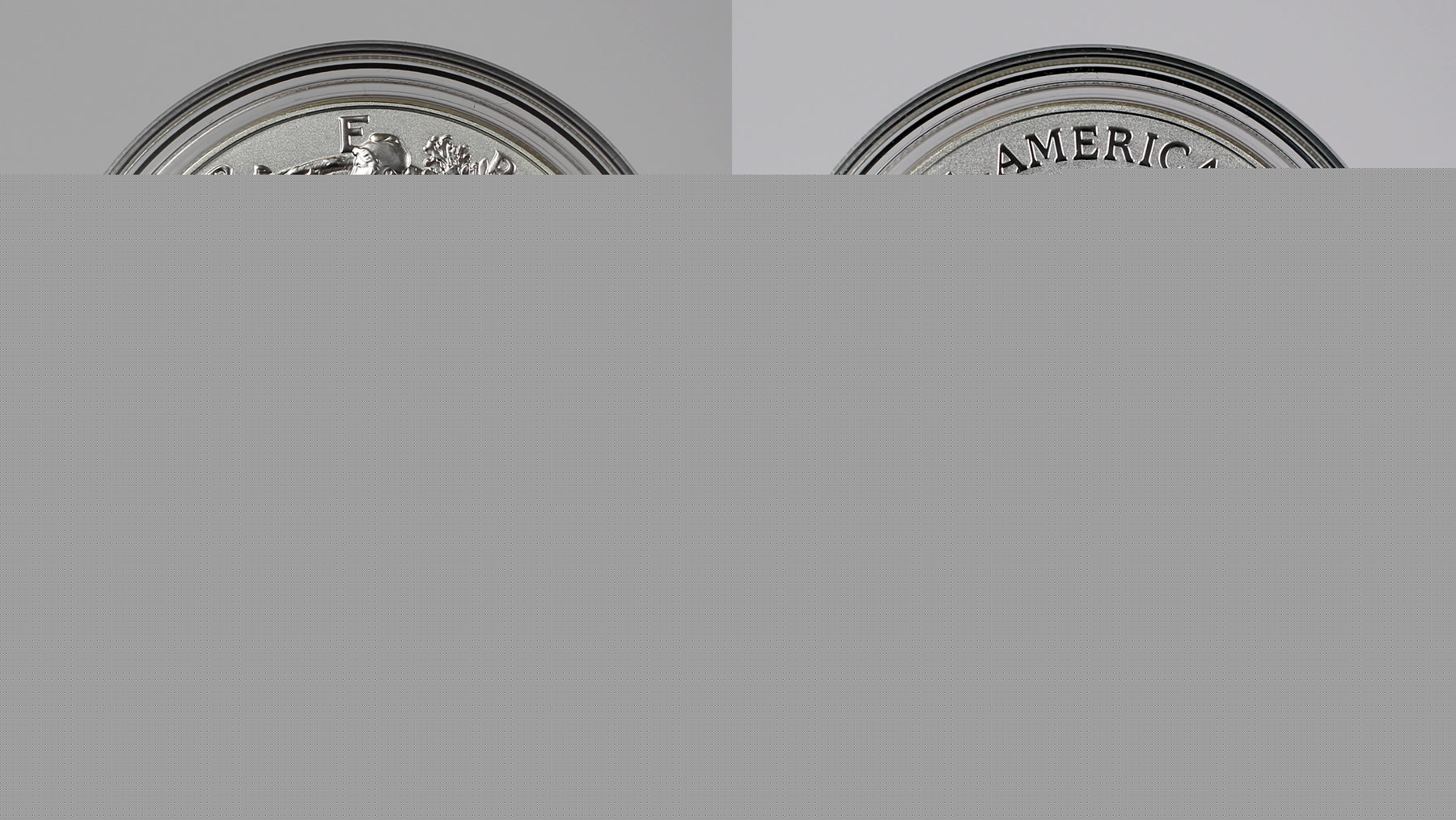 Comment on US Mint Sales: 1776-2026 Enhanced Uncirculated Silver Eagle Gone in 3 Minutes by REB