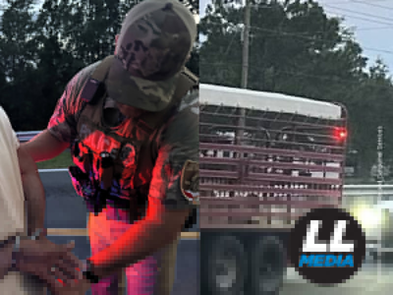 Livestock hauler arrested for dodging inspection