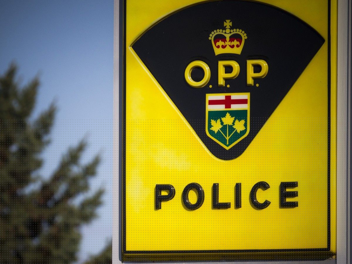 Four teens charged in Muskoka ‘crime spree’; photos of Scarborough sex assault suspect released