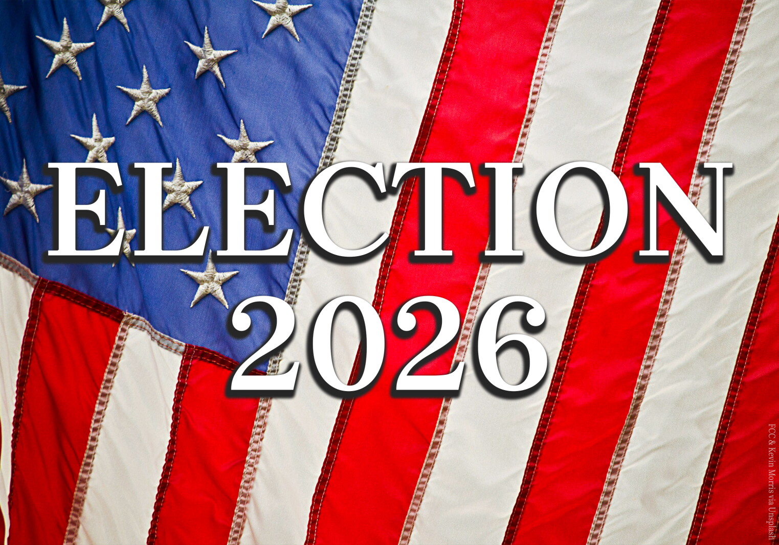 Area primaries will determine nominees for Legislature, Congress