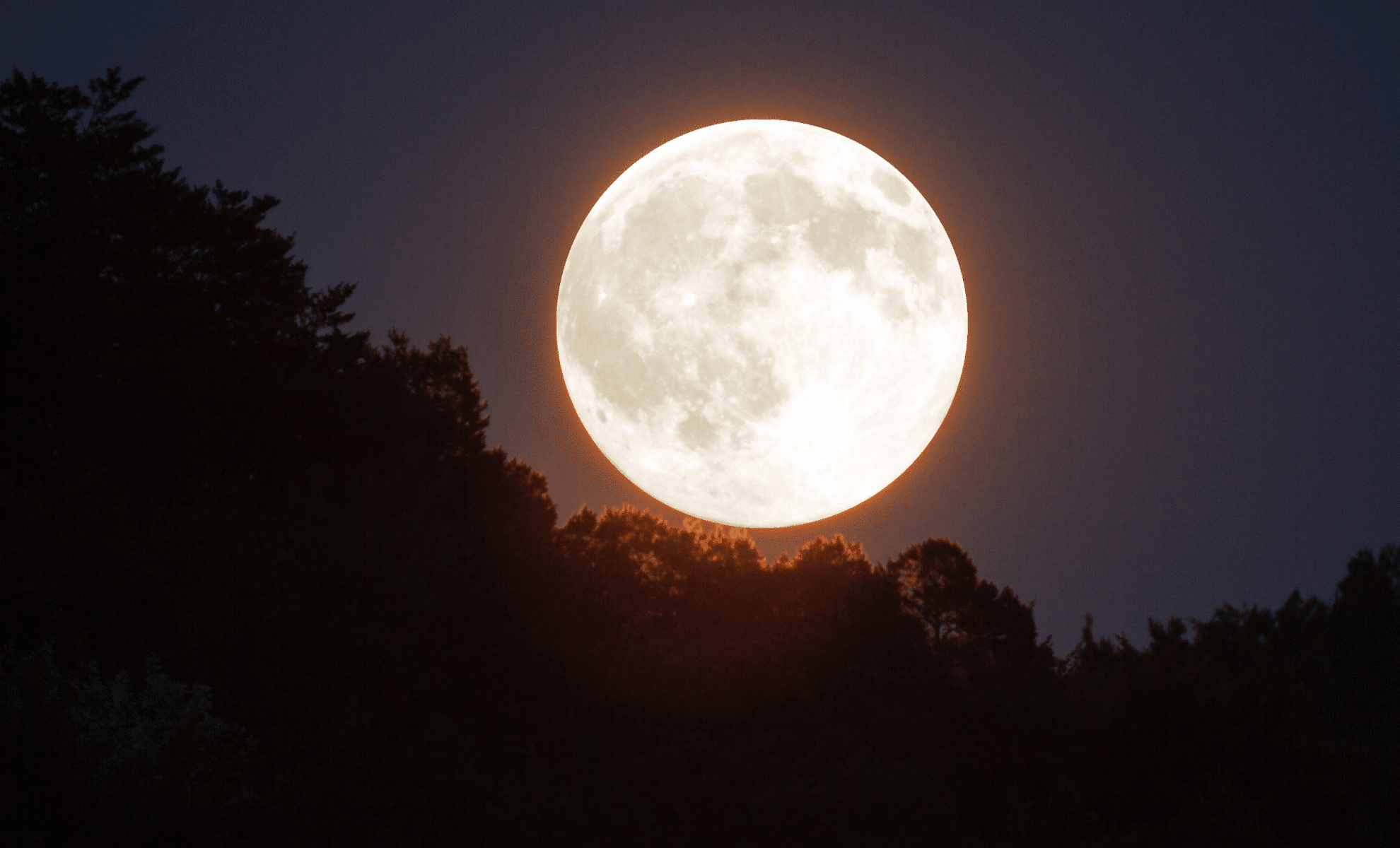 Mark Your Calendar: The 2025 Harvest Moon in October Is a Rare Celestial Event You Can’t Miss!
