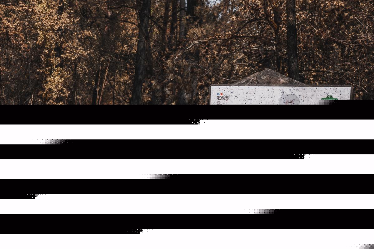 Sport, nature, liberté : ce que l’escalade à Fontainebleau nous oblige à repenser après les incendies