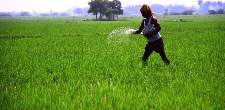 Kharif 2026: PMFBY enrolment deadline extended to Aug 15