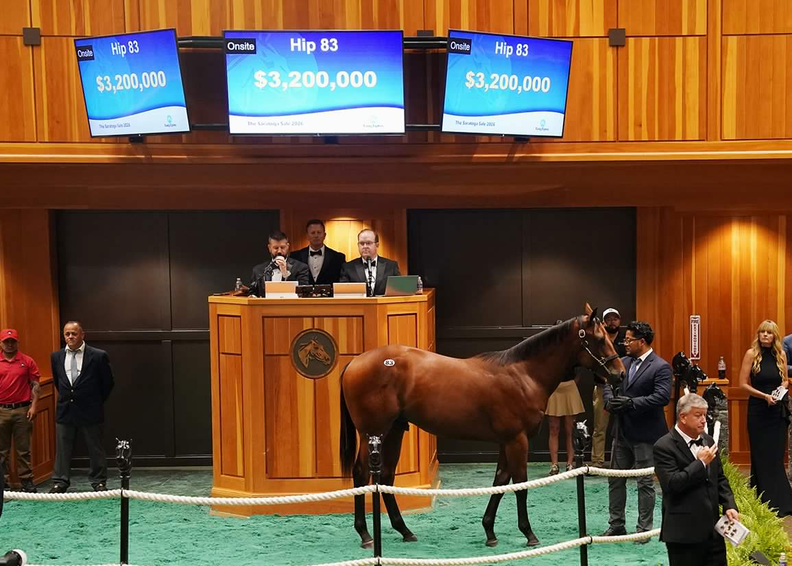 $3.2M Nyquist Colt On Top As Fasig-Tipton Saratoga Blazes Out of the Gate