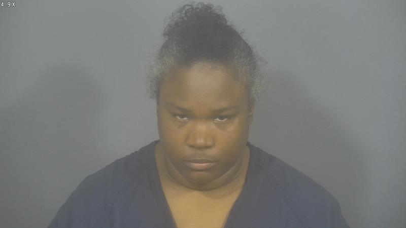 South Bend woman charged with alleged arson targeting victim's home