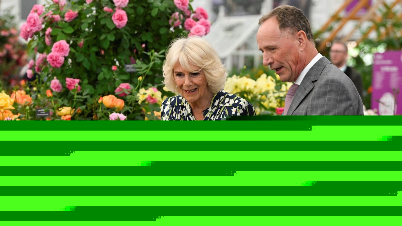 In memory of David J.C. Austin: the roses gardeners return to time and again