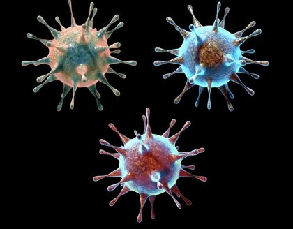 Norovirus cases up 18.3% in two weeks
