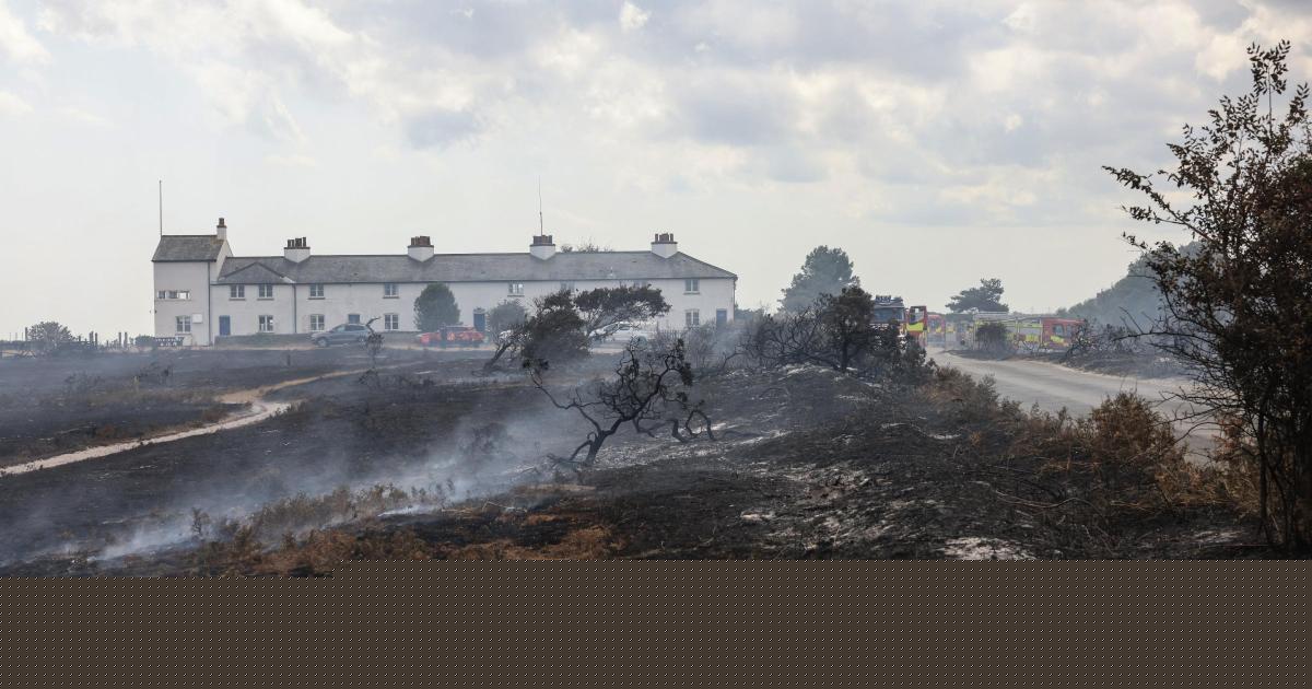 Opinion: Hot weather and its impact must be given "serious scrutiny" by Parliament