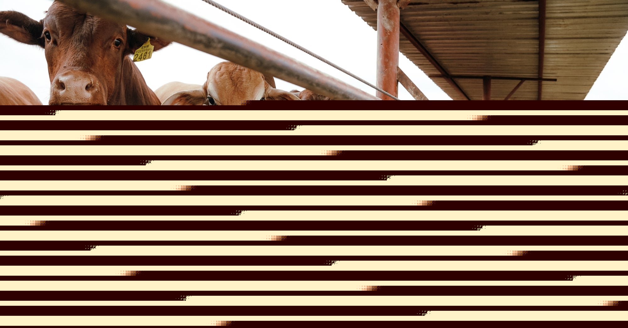 New World screwworm and the rebuilding of U.S.-Mexico agricultural trade