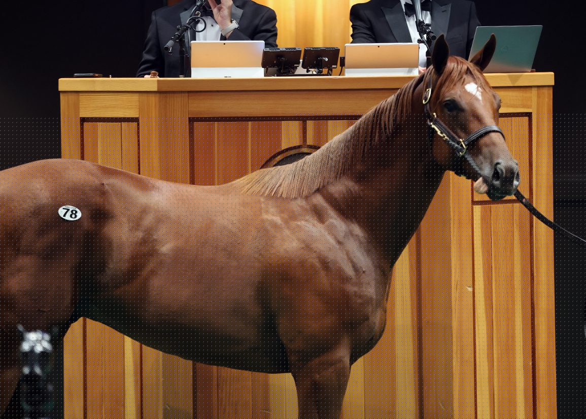 Wesley Ward Nabs Gun Runner Colt for $2.3M