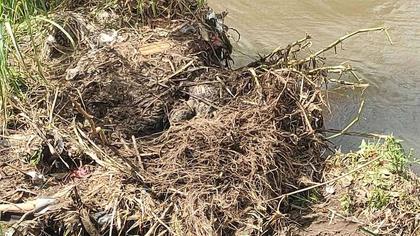 Remains of 13-year old girl who went missing in Mini Asik-Asik Falls tragedy found