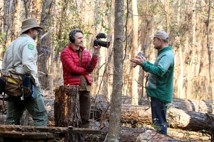 UF video series addresses topics to support Florida forest and landowners