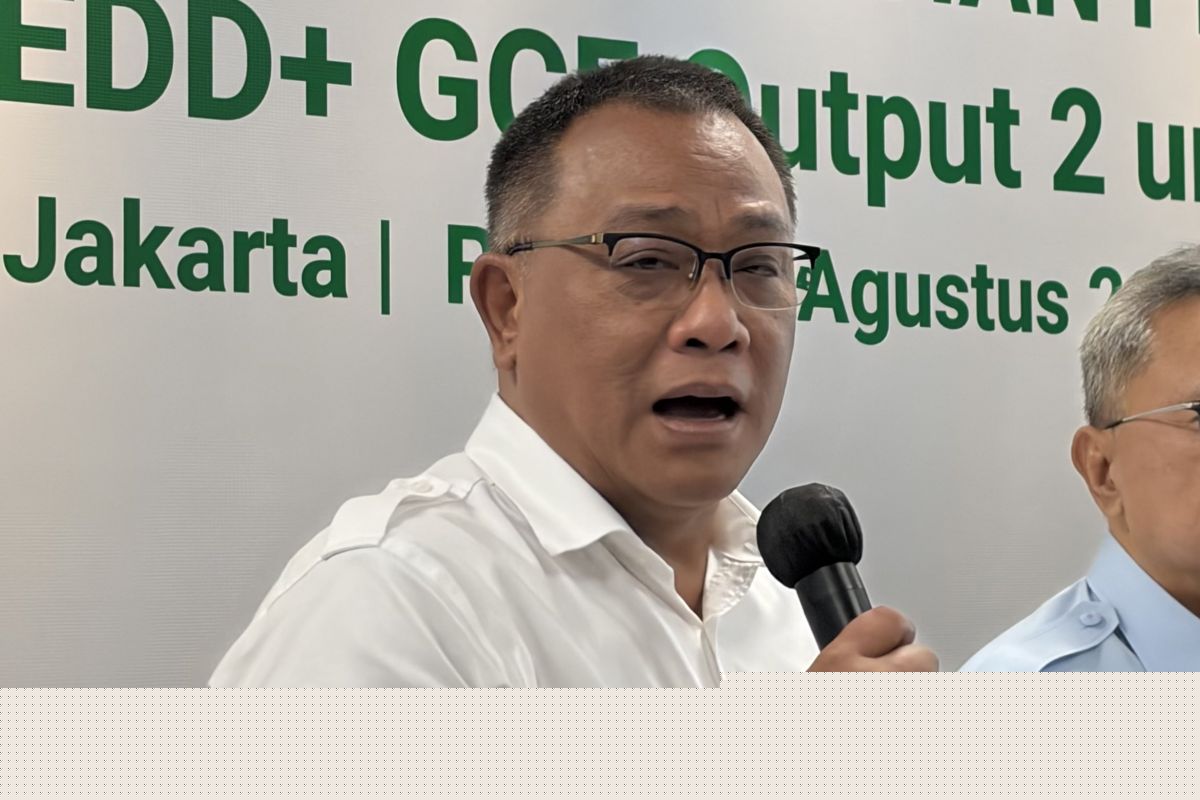 Indonesia's village cooperatives may join carbon market: minister