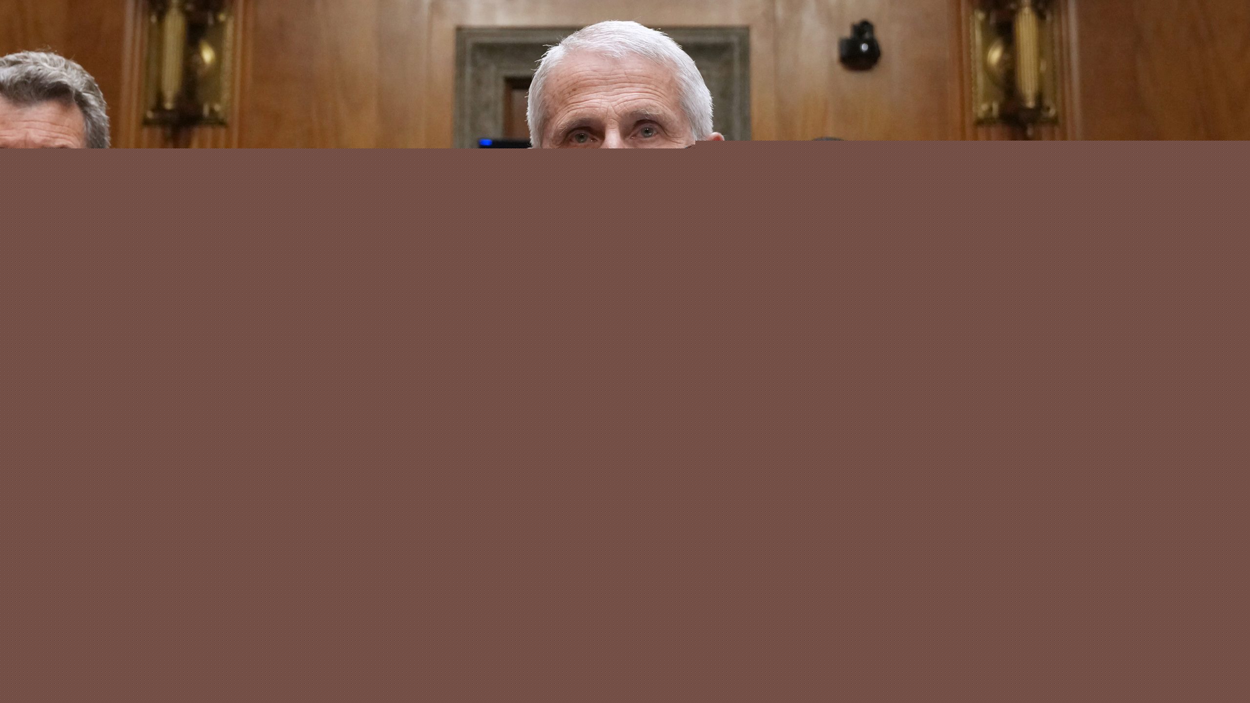 Comment on Anthony Fauci Took the Fifth as Rand Paul Turned a Senate Hearing Into Political Theater. by Pelvo White, Jr.