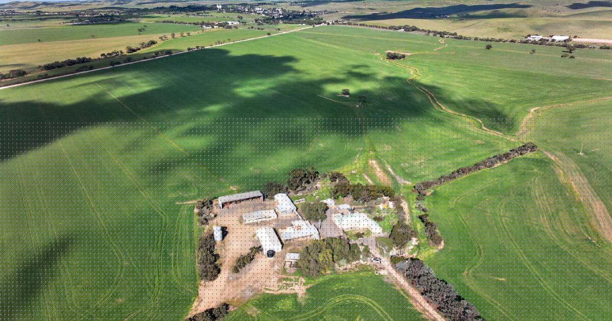 Spring's Mid North farm sales set to kick off with Eudunda auction