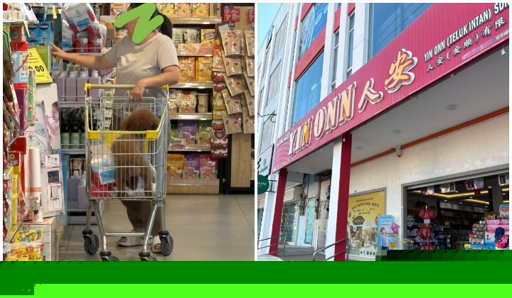 Teluk Intan Baby Shop Apologises, Temporarily Closes After Customer Puts Dog In Shopping Trolley