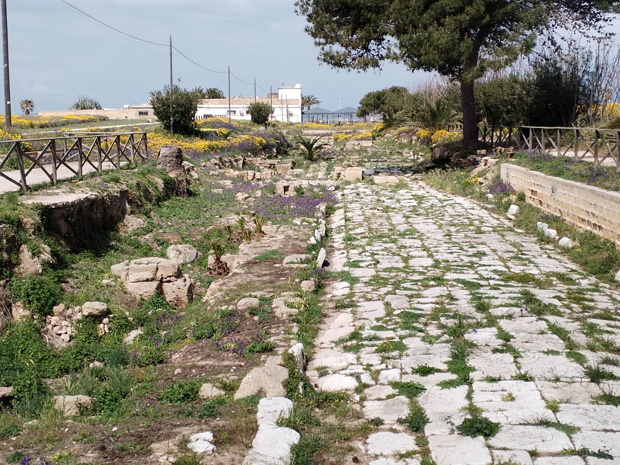 Marsala, l'archeologa Portale:"Parco e Plateia Aelia non sono un ostacolo da attraversare"
