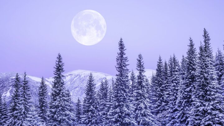 February’s Snow Moon in Leo brings fiery emotions, power struggles and breakthroughs