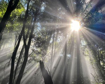 Teenage boy’s body found in creek after Blue Mountains camping trip