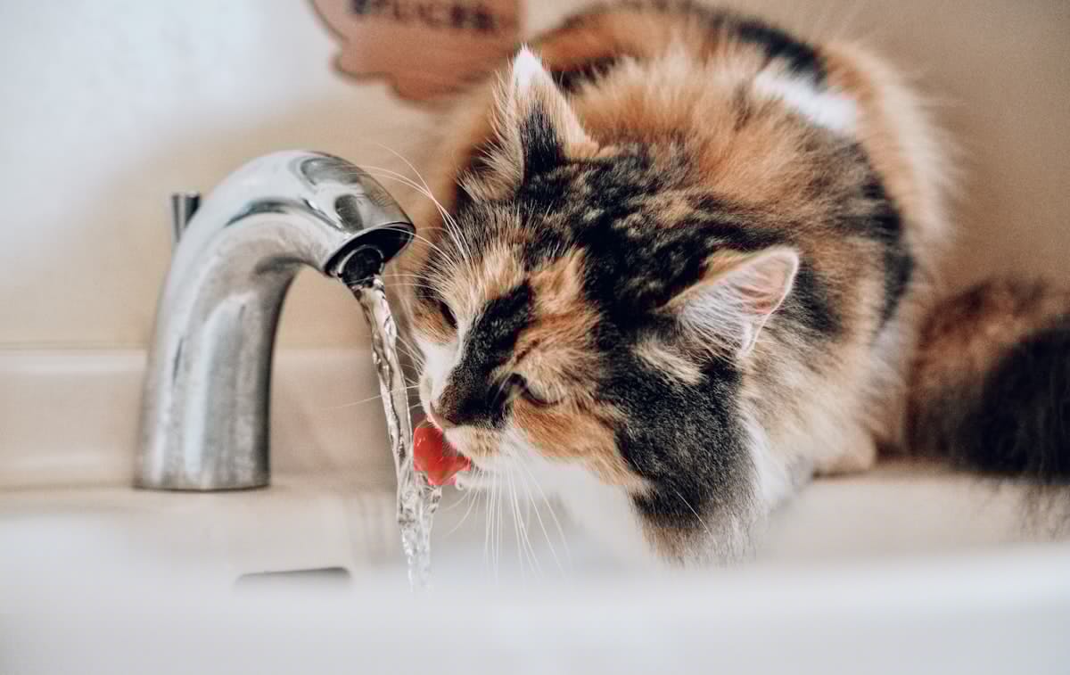 We Are One of America’s Most Hydrated States