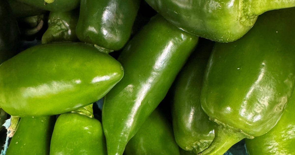 MAGA Lettuce Grower Hit With New Recall Amid Diarrhea Outbreak
