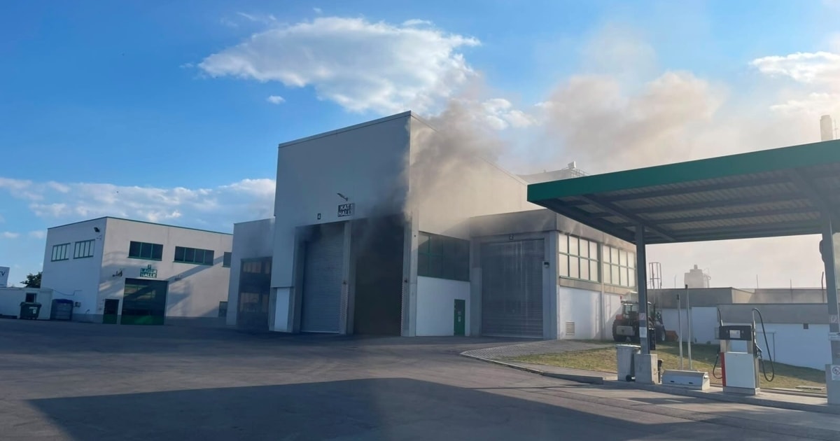 Wohin mit Kadavern? - Großaufgebot wegen Brand in Tierkörperverwertung