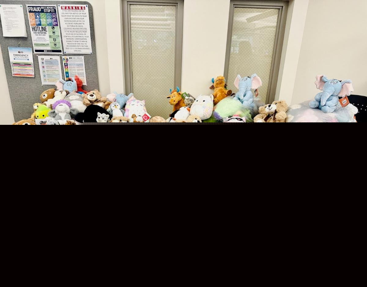 Colorado DMV Transforms Three Offices into Stuffed Animal Donation Hubs
