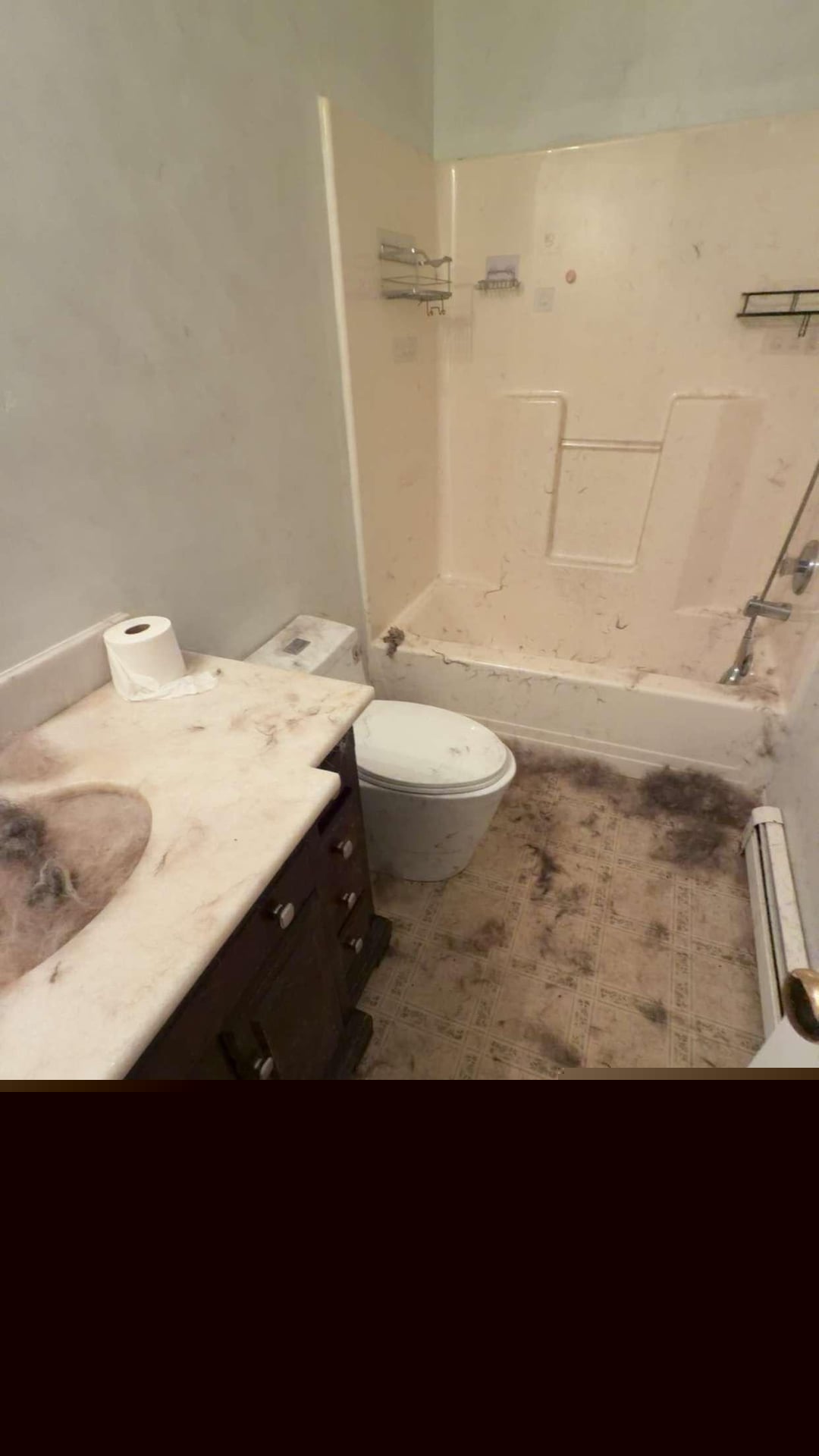 Mildly Infuriating - My mom forgot to tell me the dog groomer was coming 2 days after I started prepping the bathroom walls to be repainted