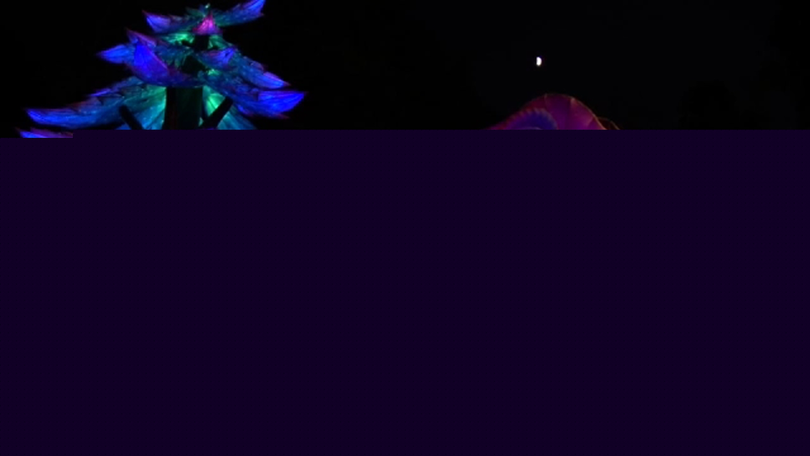 Tickets now on sale for 11th annual North Carolina Chinese Lantern Festival