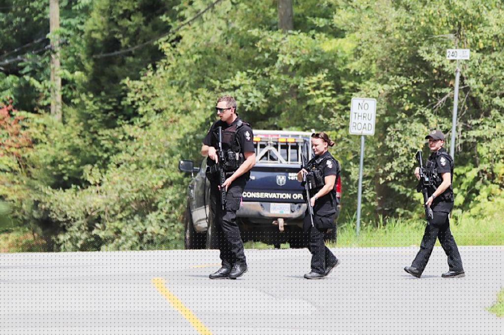 UPDATE: RCMP kills wrong bear following attack of 3 year old in Lower Mainland