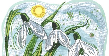 Books photo: Reflected in Nature: Finding God in the created world by Claire Daniel and illustrated by Jamie Poole