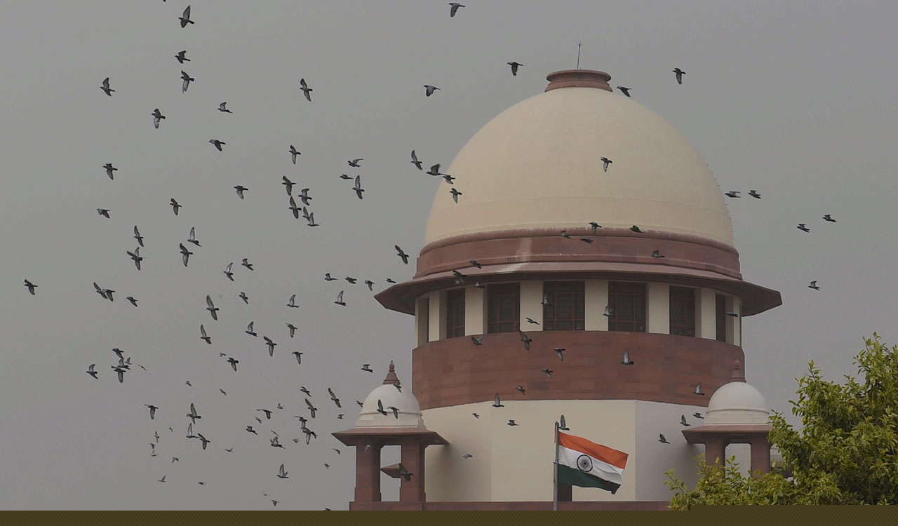 SC calls selective release of AI crash report ‘irresponsible’
