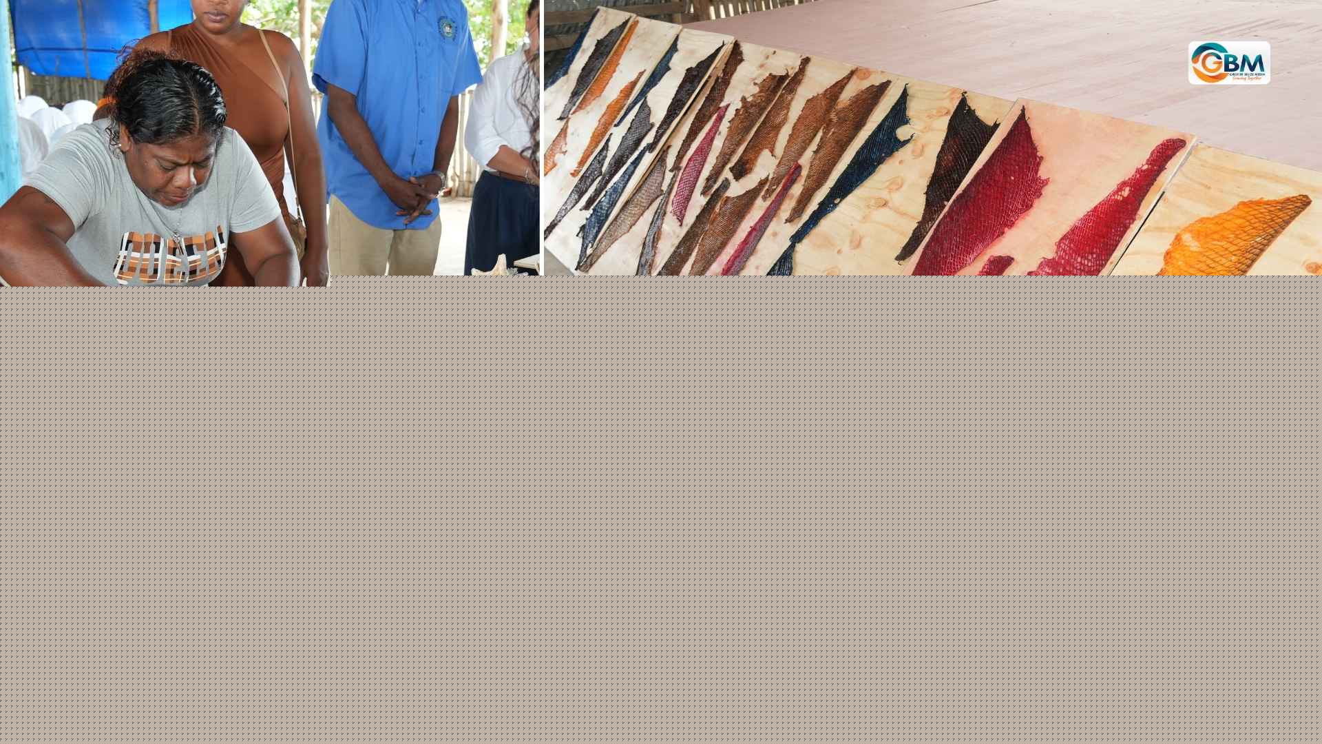 Could Fish Skin Become Belize’s Next Big Business?