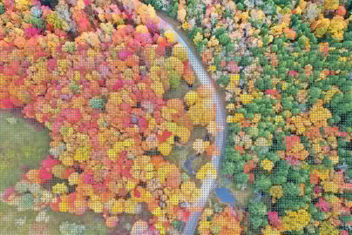 Fall Is Coming: See When New York’s Leaves Will Peak