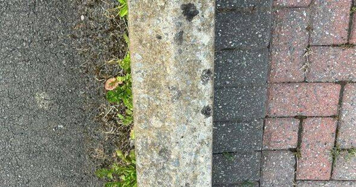 'I tried everything to remove driveway weeds - then found a method that really works'