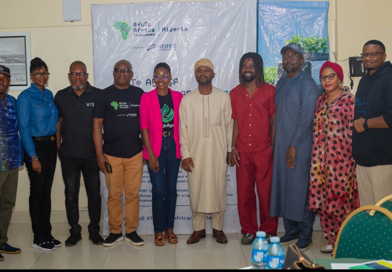 Heifer Nigeria launch $40,000 AYuTe youth innovation challenge for 2026