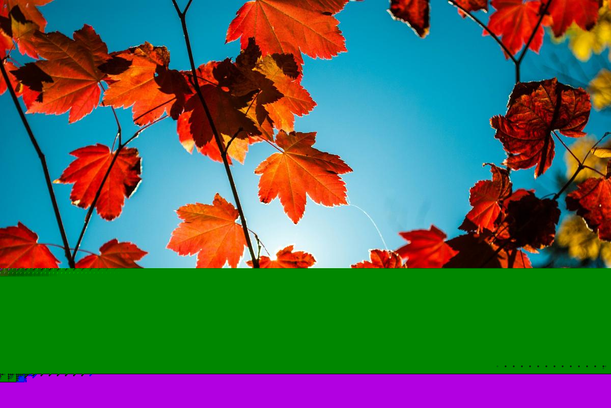 Farmer’s Almanac Says Missouri’s Fall Will Be Different