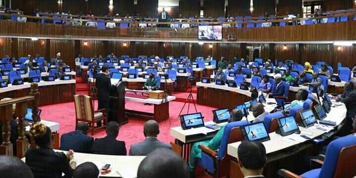 The rights of Sierra Leoneans in the Diaspora are under attack in Sierra Leone – Op ed