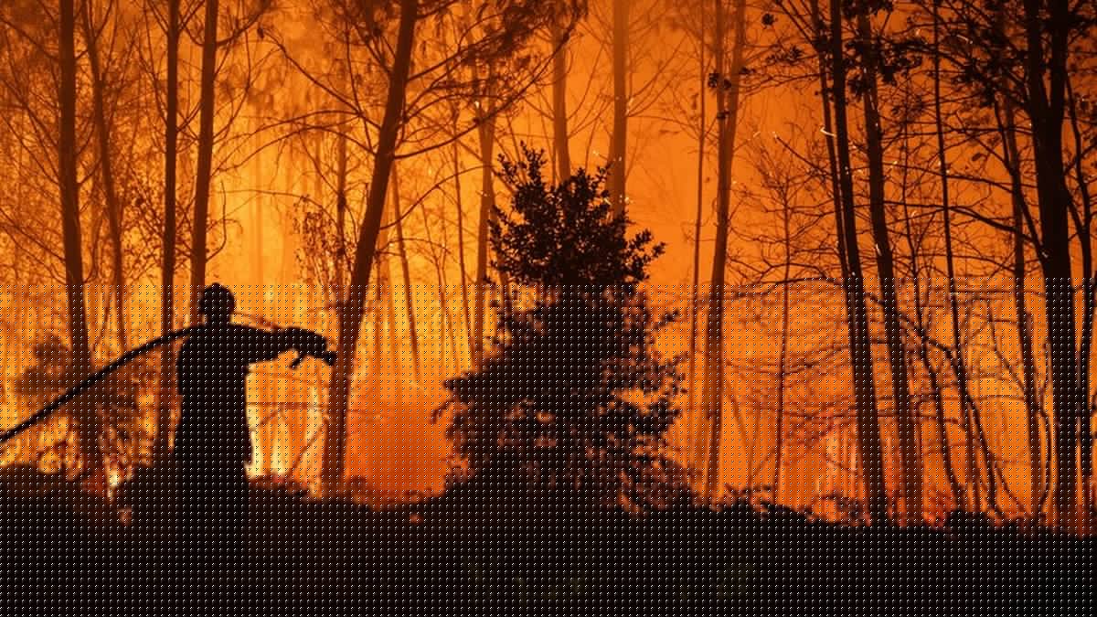 TÉMOIGNAGE. Incendies en Gironde : fumées suffocantes, rues désertées... un Ariégeois obligé d'abandonner sa maison face aux flammes, "C’était mon cocon, mon nid, notre petit chez nous"