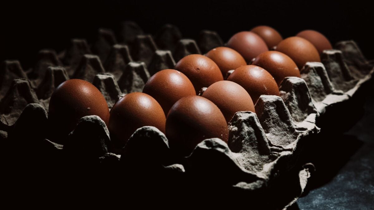 Egg-Linked Salmonella Outbreak Has Sickened 98 People, With Many Cases Still Unexplained