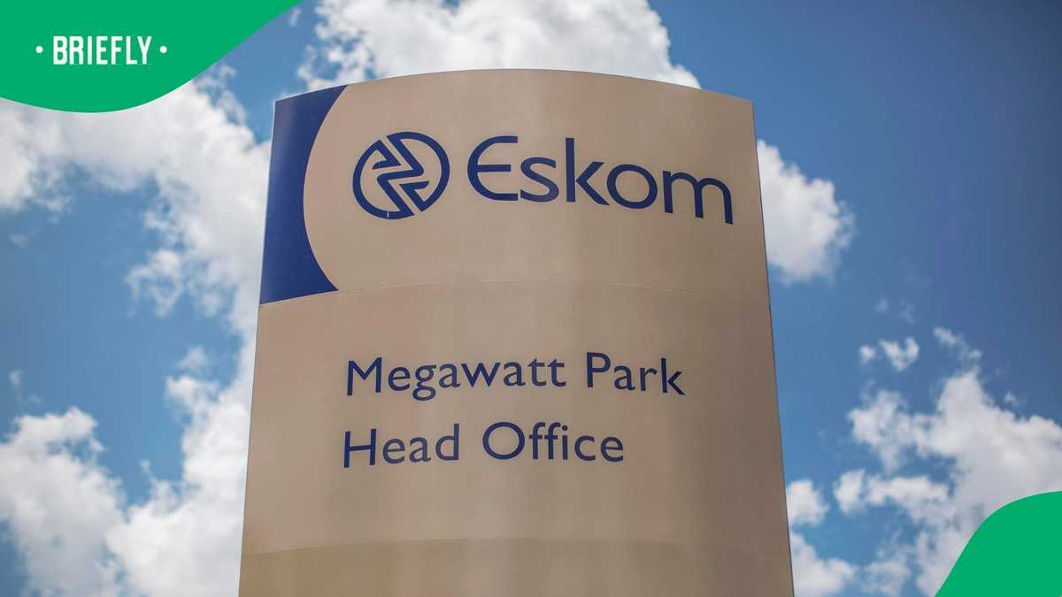 Presidency rebukes Eskom chairman Mteto Nyati over transmission unbundling concerns
